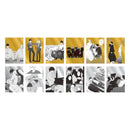 【CAFE SWALLOW】箔押しトレーディングイラストカード(全12種)